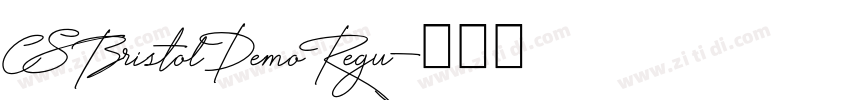 CS Bristol Demo Regu字体转换